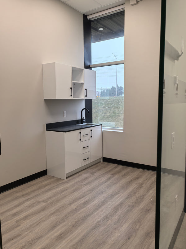 Brampton Suite 111 — photo 5